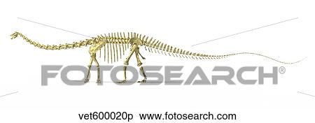 Stock Illustration - 3D rendering of a Diplodocus dinosaur skeleton.. Fotosearch