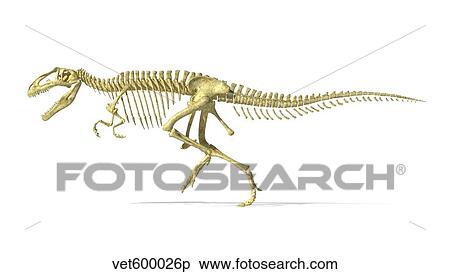 3D rendering of a Giganotosaurus dinosaur skeleton. View Large Illustration Stock Illustration - 3D rendering of a Giganotosaurus dinosaur skeleton.. Fotosearch