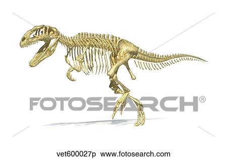 Stock Illustration - 3D rendering of a Giganotosaurus dinosaur skeleton.. Fotosearch