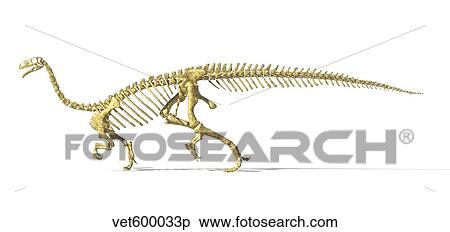 Stock Illustration - 3D rendering of a Plateosaurus dinosaur skeleton.. Fotosearch