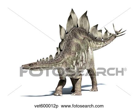 Stock Illustration - 3D rendering of a Stegosaurus dinosaur.. Fotosearch