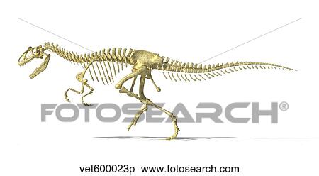 3D rendering of an Allosaurus dinosaur skeleton. View Large Illustration Stock Illustration - 3D rendering of an Allosaurus dinosaur skeleton.. Fotosearch