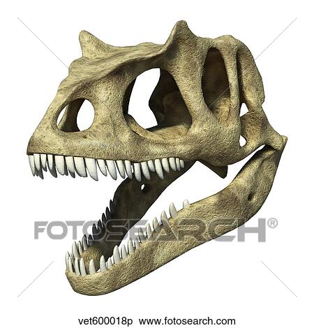 Stock Illustration - 3D rendering of an Allosaurus skull.. Fotosearch