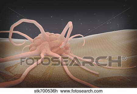 3D rendering of macrophage phagocytosis. View Large Illustration Drawing - 3D rendering of macrophage phagocytosis.. Fotosearch