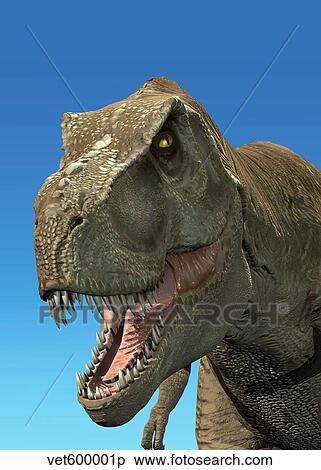 3D rendering of Tyrannosaurus Rex, close-up. View Large Illustration Stock Illustration - 3D rendering of Tyrannosaurus Rex, close-up.. Fotosearch