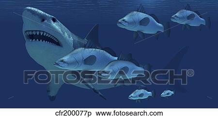 A 魚 の 学校 遭遇 A 巨大 Megalodon Shark イラスト Cfr0077p Fotosearch