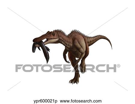 Stock Illustration - A Baryonyx dinosaur with a fish in mouth, white background.. Fotosearch