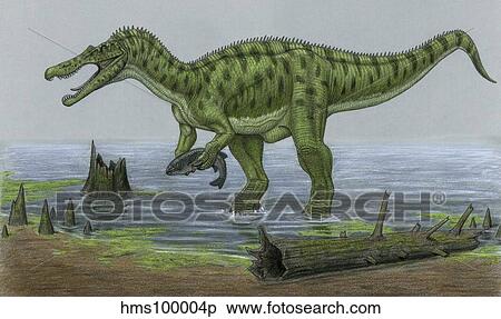 A Baryonyx walkeri dinosaur catches a fish. View Large Illustration Stock Illustration - A Baryonyx walkeri dinosaur catches a fish.. Fotosearch