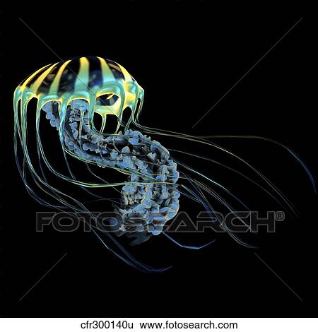 A bioluminescent Jellyfish. View Large Illustration Stock Illustration - A bioluminescent Jellyfish.. Fotosearch