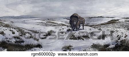 A Bison latifrons in a winter landscape during the Pleistocene epoch. View Large Illustration Stock Illustration - A Bison latifrons in a winter landscape during the Pleistocene epoch.. Fotosearch
