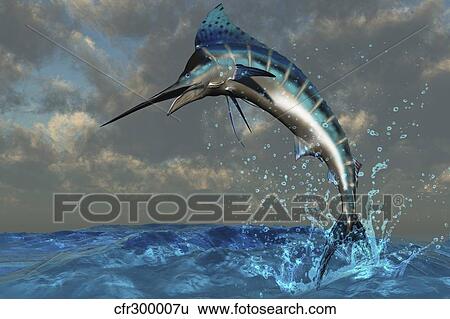Stock Illustration - A Blue Marlin flashes its iridescent colors as it bursts from the ocean.. Fotosearch