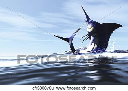 Stock Illustration - A Blue Marlin jumps through the ocean surface in a spray of water.. Fotosearch