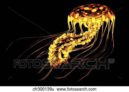 A brightly colored bioluminescent jellyfish. View Large Illustration Stock Illustration - A brightly colored bioluminescent jellyfish.. Fotosearch