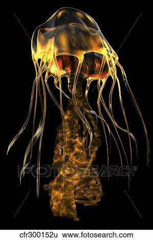Stock Illustration - A brightly colored jellyfish illustration.. Fotosearch