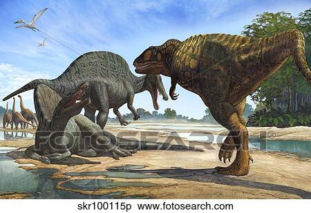 A Carcharodontosaurus invades the territory of two Spinosaurus dinosaurs. View Large Illustration Stock Illustration - A Carcharodontosaurus invades the territory of two Spinosaurus dinosaurs.. Fotosearch
