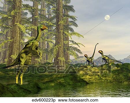 A Caudipteryx watching Dilong dinosaurs approaching. View Large Illustration Stock Illustration - A Caudipteryx watching Dilong dinosaurs approaching.. Fotosearch
