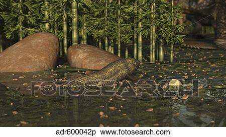 Stock Illustration - A Ceratodus lungfish from the early Cretaceous.. Fotosearch