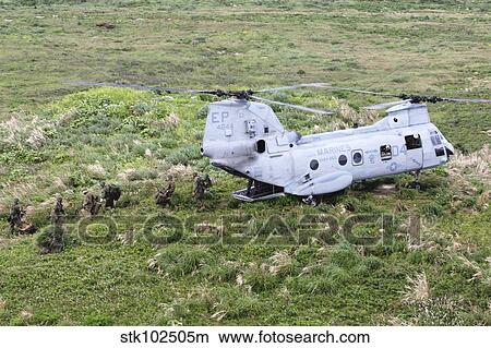 A CH-46 E Sea Knight helicopter drops off Marines. View Large Photo Image Picture - A CH-46 E Sea Knight helicopter drops off Marines.. Fotosearch