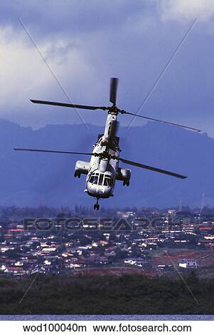 Picture - A CH-46 Sea Knight helicopter in flight.. Fotosearch