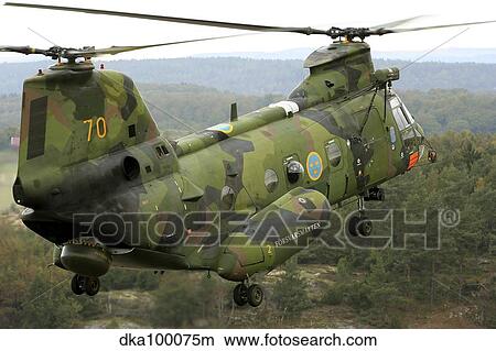 A CH-46 Sea Knight helicopter of the Swedish Air Force. View Large Photo Image Picture - A CH-46 Sea Knight helicopter of the Swedish Air Force.. Fotosearch