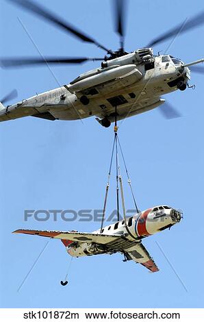 A CH-53 Sea Stallion lifts a HU-25 Guardian Coast Guard aircraft. View Large Photo Image Picture - A CH-53 Sea Stallion lifts a HU-25 Guardian Coast Guard aircraft.. Fotosearch