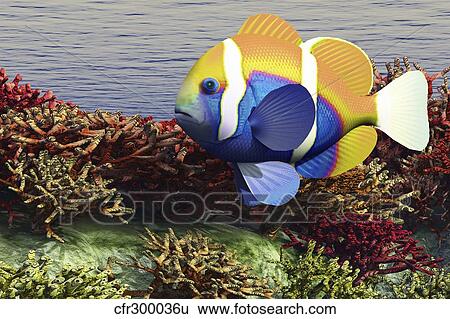 Stock Illustration - A colorful clownfish swims among the corals of an ocean reef.. Fotosearch