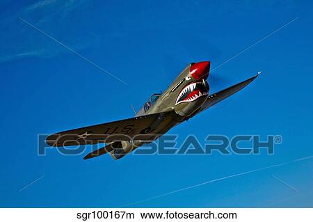 A Curtiss P-40E Warhawk in flight near Chino, California. View Large Photo Image Picture - A Curtiss P-40E Warhawk in flight near Chino, California.. Fotosearch