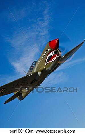 A Curtiss P-40E Warhawk in flight near Chino, California. View Large Photo Image Picture - A Curtiss P-40E Warhawk in flight near Chino, California.. Fotosearch
