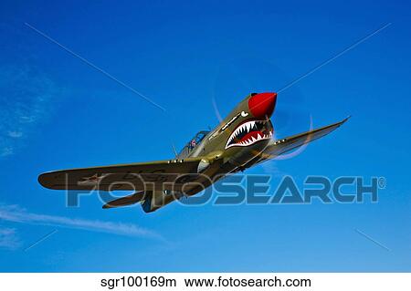A Curtiss P-40E Warhawk in flight near Chino, California. View Large Photo Image Picture - A Curtiss P-40E Warhawk in flight near Chino, California.. Fotosearch