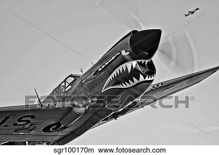 A Curtiss P-40E Warhawk in flight near Chino, California. View Large Photo Image Picture - A Curtiss P-40E Warhawk in flight near Chino, California.. Fotosearch