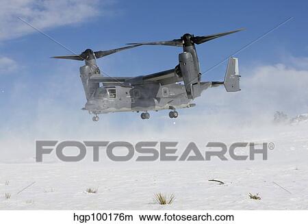 Picture - A CV-22 Osprey takes off from a landing zone.. Fotosearch