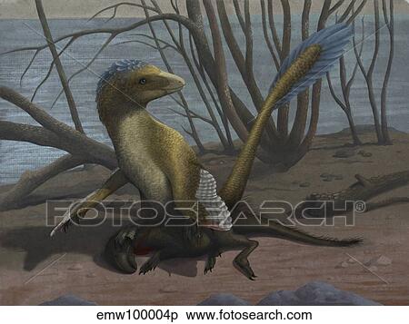 A Deinonychus protects its kill, a psittacosaurid dinosaur. View Large Illustration Stock Illustration - A Deinonychus protects its kill, a psittacosaurid dinosaur.. Fotosearch