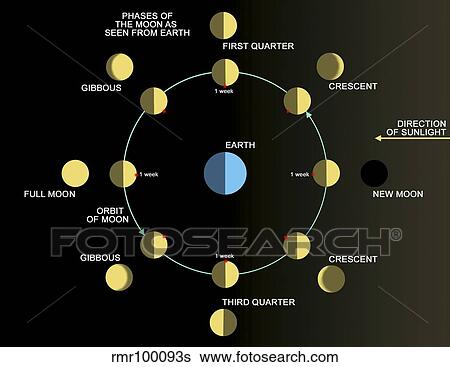 Stock Illustration - A diagram showing the phases of the Earth's moon.. Fotosearch