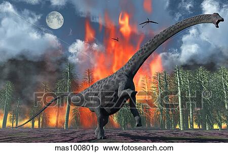 A Diplodocus sauropod dinosaur fleeing from a forest fire. View Large Illustration Stock Illustration - A Diplodocus sauropod dinosaur fleeing from a forest fire.. Fotosearch