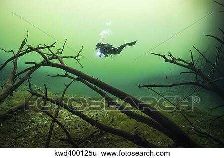 A diver in the Car Wash cenote system in Mexico. View Large Photo Image Stock Photograph - A diver in the Car Wash cenote system in Mexico.. Fotosearch