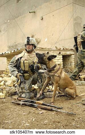 A dog handler and his military working dog take a short break. View Large Photo Image Picture - A dog handler and his military working dog take a short break.. Fotosearch