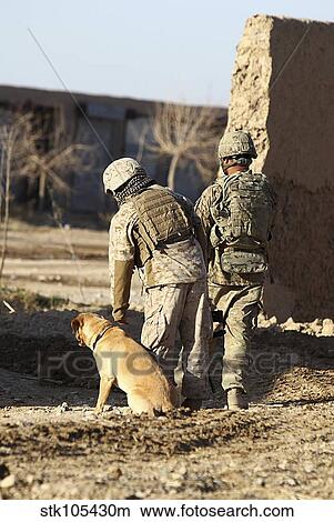 Picture - A dog handler takes care of his military working dog.. Fotosearch