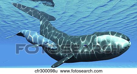 Stock Illustration - A female bowhead whale swims with her calf through ocean waters.. Fotosearch