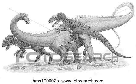 Stock Illustration - A group of Allosaurus attack a giant Diplodocus dinosaur.. Fotosearch