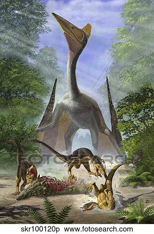 A group of Balaur bondoc dinosaurs fight for the corpse of a Struthiosaurus. View Large Illustration Stock Illustration - A group of Balaur bondoc dinosaurs fight for the corpse of a Struthiosaurus.. Fotosearch
