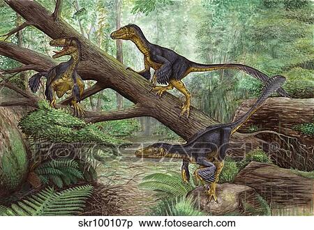 A group of Balaur bondoc in a prehistoric environment. View Large Illustration Stock Illustration - A group of Balaur bondoc in a prehistoric environment.. Fotosearch