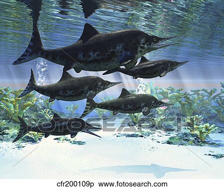 Stock Illustration - A group of Ichthyosaurs swimming in prehistoric waters.. Fotosearch