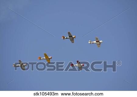 A group of restored vintage warbirds fly in formation. View Large Photo Image Picture - A group of restored vintage warbirds fly in formation.. Fotosearch