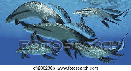 Stock Illustration - A group of Scaumenacia lobe-finned fish from the Devonian period.. Fotosearch