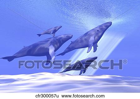 A group of whales head toward the surface for a breath of fresh air. View Large Illustration Stock Illustration - A group of whales head toward the surface for a breath of fresh air.. Fotosearch