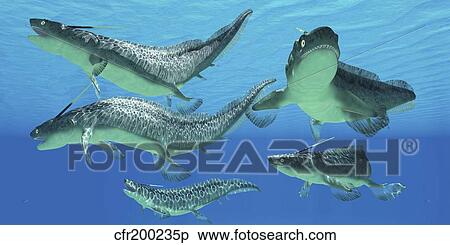 Stock Illustration - A group of Xenacanthus prehistoric sharks.. Fotosearch