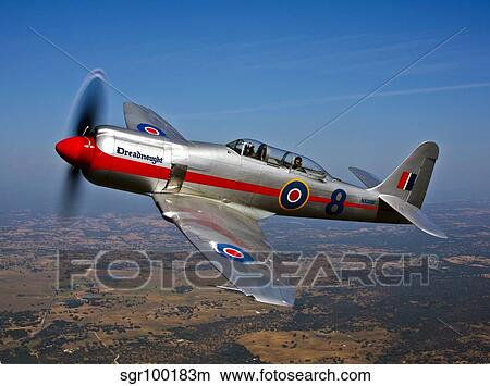 A Hawker Sea Fury T. Mk. 20 Dreadnought aircraft in flight. View Large Photo Image Picture - A Hawker Sea Fury T. Mk. 20 Dreadnought aircraft in flight.. Fotosearch