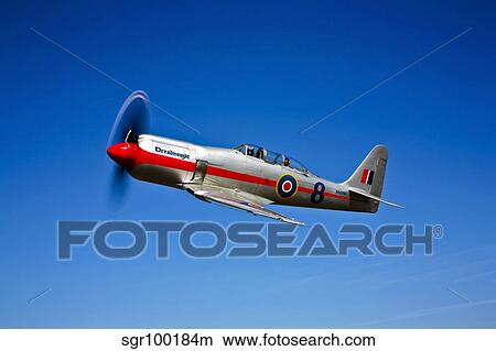 A Hawker Sea Fury T. Mk. 20 Dreadnought aircraft in flight. View Large Photo Image Picture - A Hawker Sea Fury T. Mk. 20 Dreadnought aircraft in flight.. Fotosearch