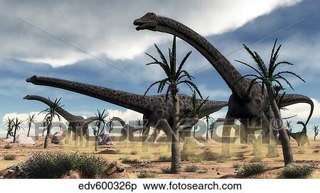 A herd of Diplodocus dinosaurs walking in a desert landscape. View Large Illustration Stock Illustration - A herd of Diplodocus dinosaurs walking in a desert landscape.. Fotosearch