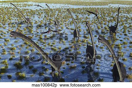 A herd of Omeisaurus dinosaurs on the move. View Large Illustration Stock Illustration - A herd of Omeisaurus dinosaurs on the move.. Fotosearch
